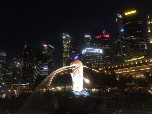 シンガポール新婚旅行_7228