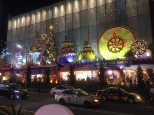 シンガポール新婚旅行_8575